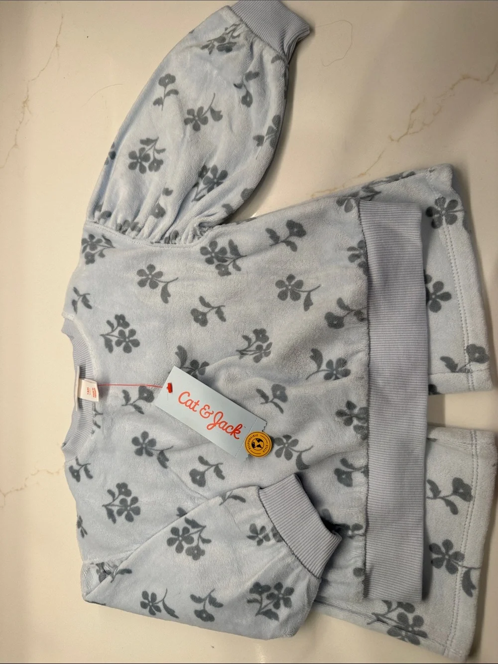 Cat & Jack two piece